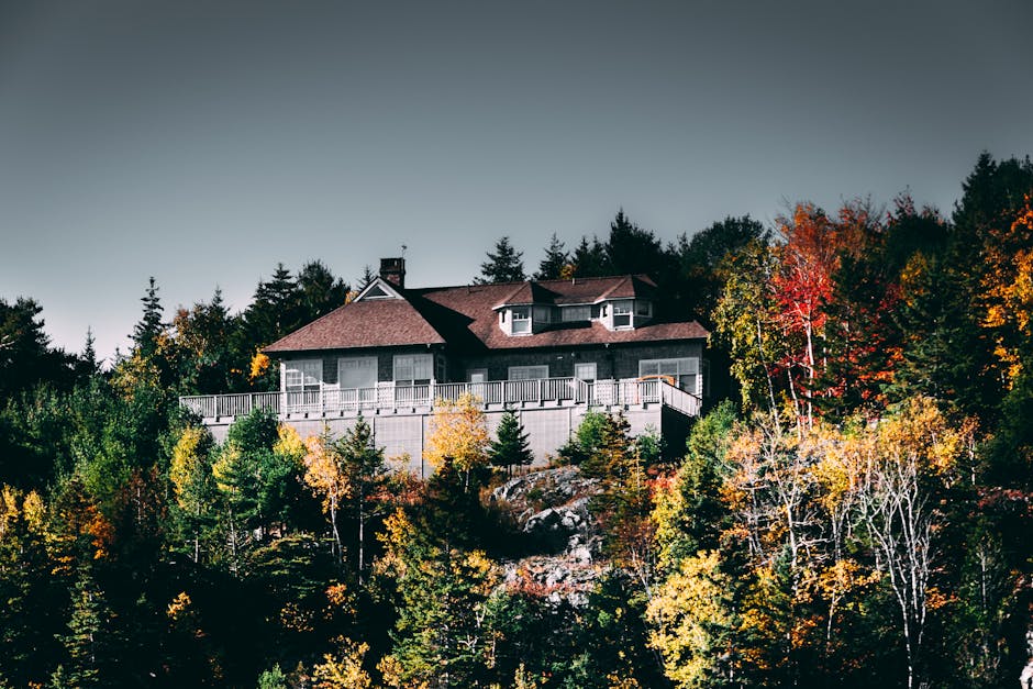 Black Forest Timber Mansions for Silent Escapes