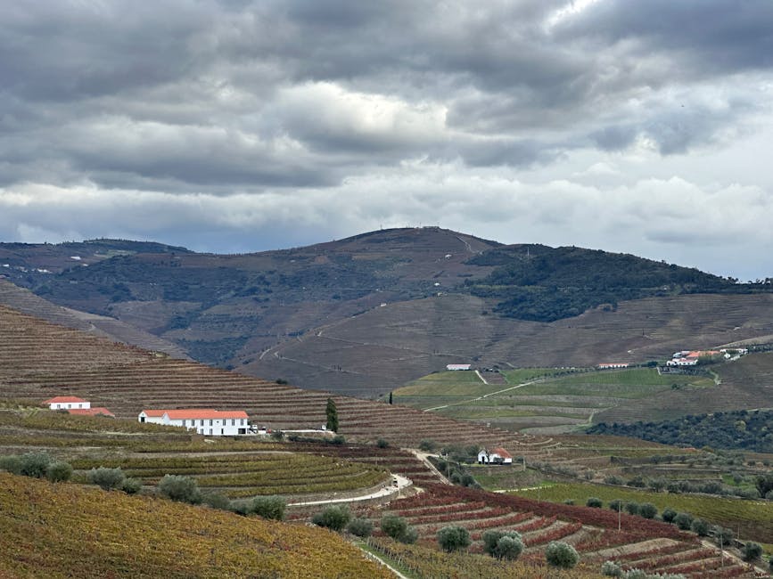 Douro Valley Wine Estates for Private Tastings