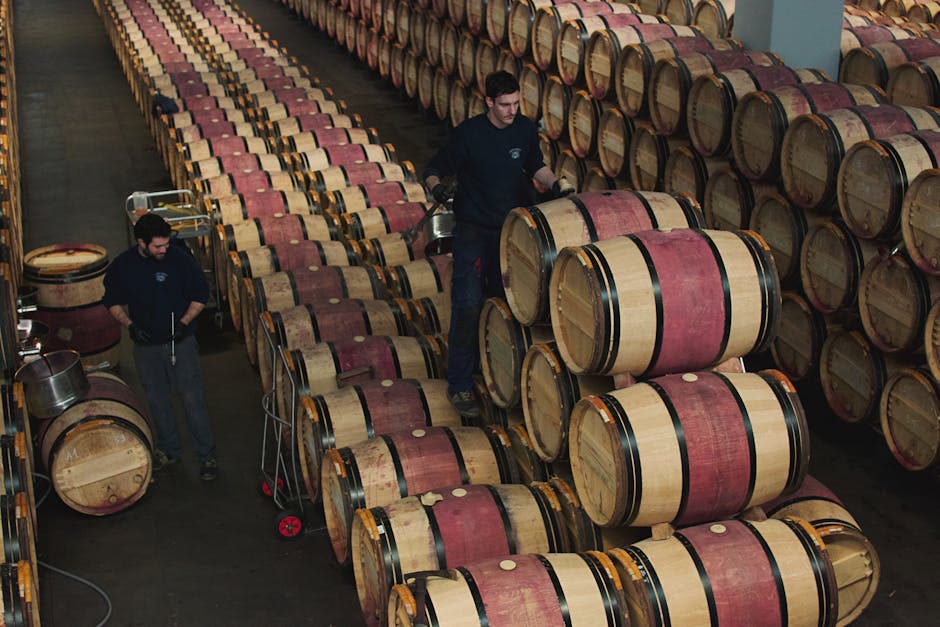 Private Vineyard Estates in Bordeaux Reserved for Ultra-High-Net-Worth Travelers
