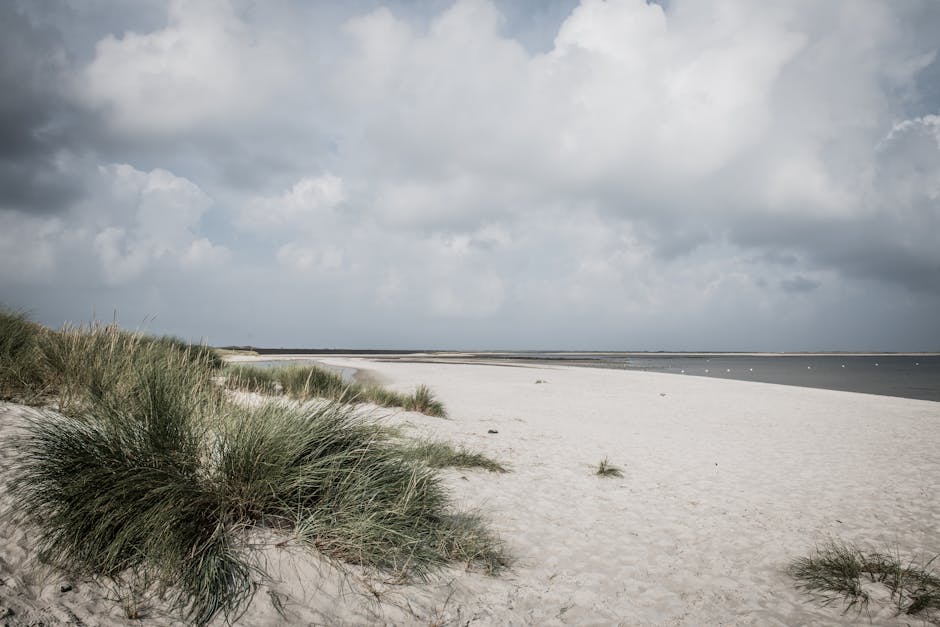 Sylt Island Dune Houses for Ultra-Quiet Summers